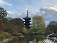 東寺(教王護国寺)の庭園