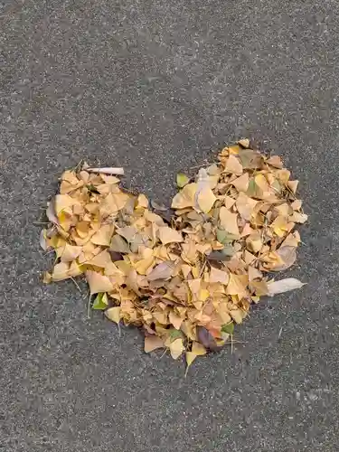 渋谷氷川神社(東京都)