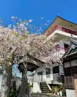 法話と天井絵の寺 観音寺(徳島県)