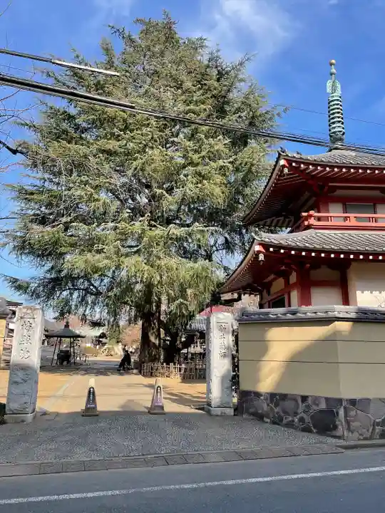 新井薬師(梅照院)(東京都)