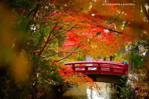 鶴岡八幡宮の庭園
