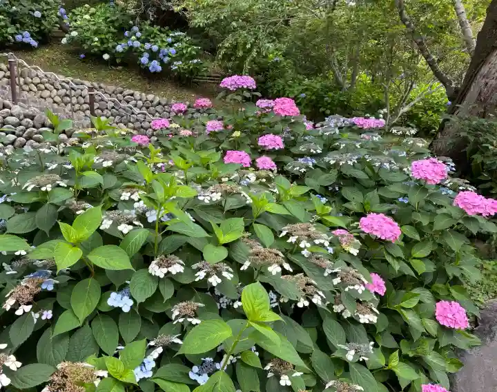 尊永寺(静岡県)