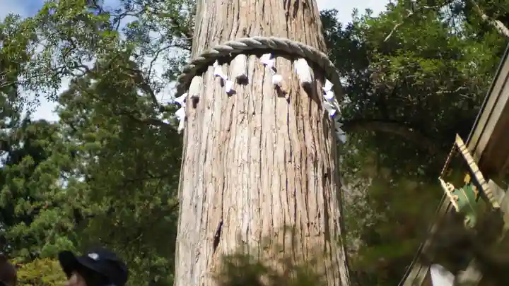由岐神社(京都府)