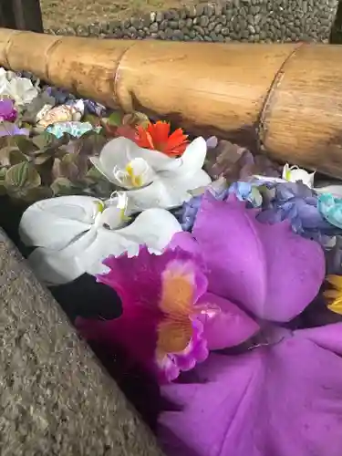 群馬県護国神社(群馬県)