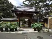 玄国寺の山門・神門