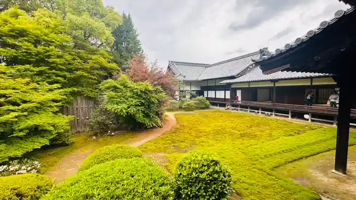 隨心院(随心院)(京都府)