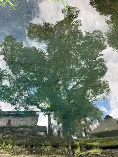 淺間神社（忍野八海）(山梨県)