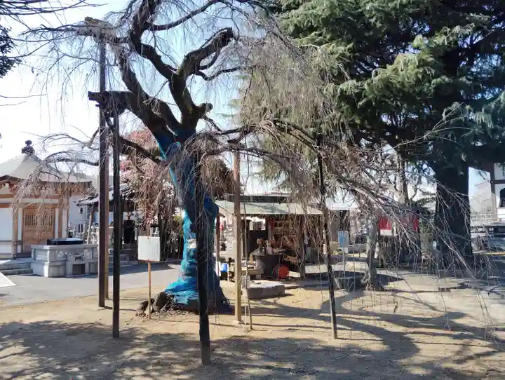 普済寺(群馬県)