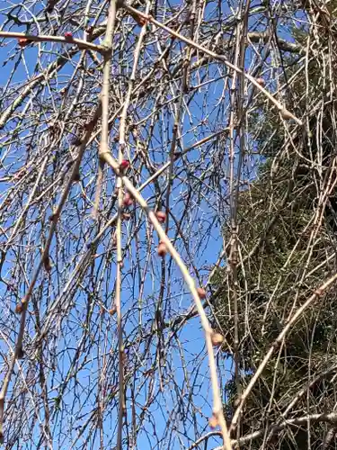 伏木香取神社の自然