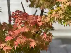 伊勢の国 四天王寺の自然