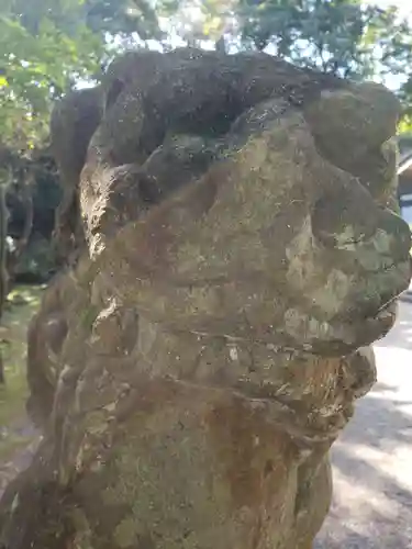 春日山神社の狛犬