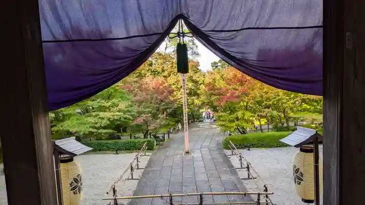 禅林寺(永観堂)(京都府)
