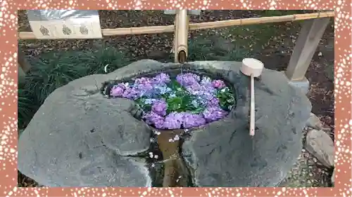 馬場氷川神社(埼玉県)