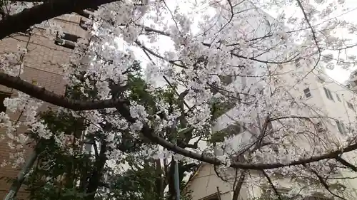 秋葉神社(東京都)
