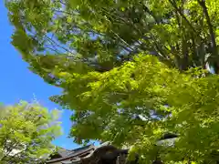 岡宮神社(長野県)