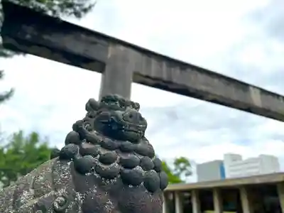 福井神社(福井県)
