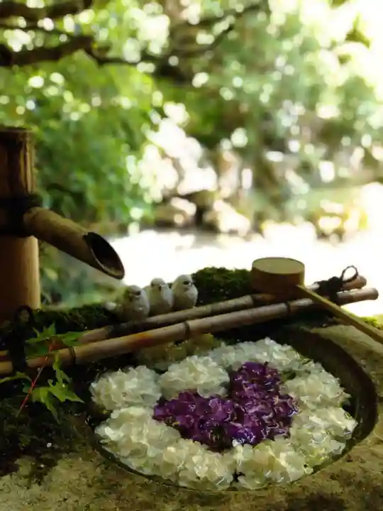 柳谷観音 楊谷寺の手水舎