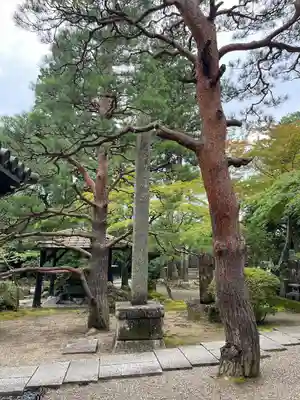 輪王寺(宮城県)
