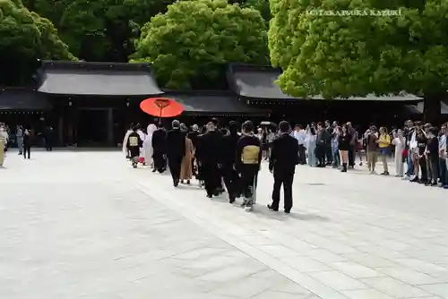 明治神宮(東京都)