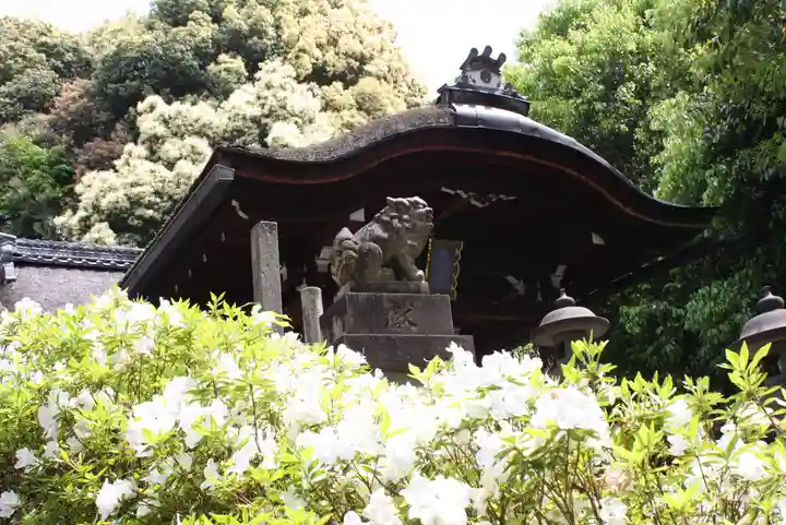 東福寺五社成就宮(京都府)