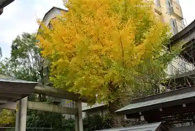 湯島天満宮(東京都)