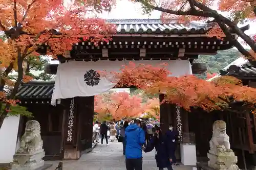禅林寺（永観堂）(京都府)