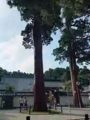 瑞巌寺の建物その他