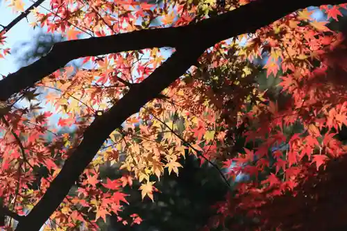 田村神社の景色