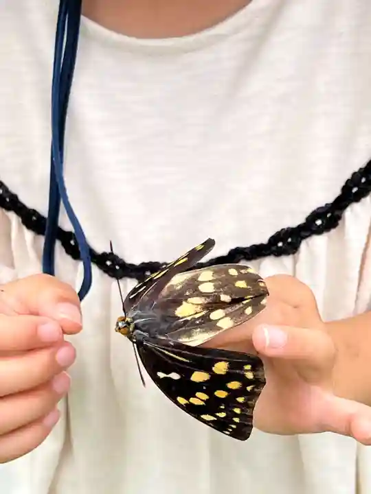 国宝 大法寺(長野県)