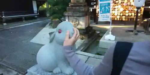 岡崎神社の狛犬