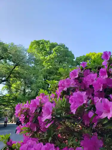 阿佐ヶ谷神明宮(東京都)