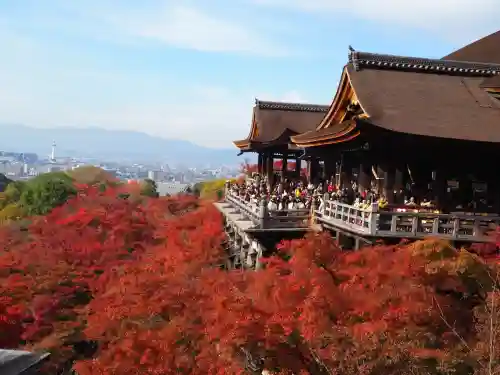 清水寺(京都府)