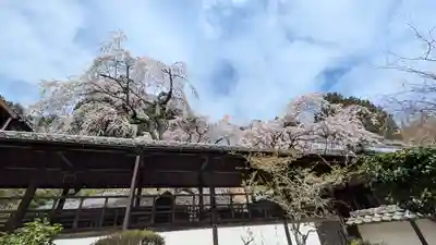 十輪寺(京都府)