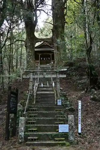 地主神社（桑の川の鳥居杉）(高知県)