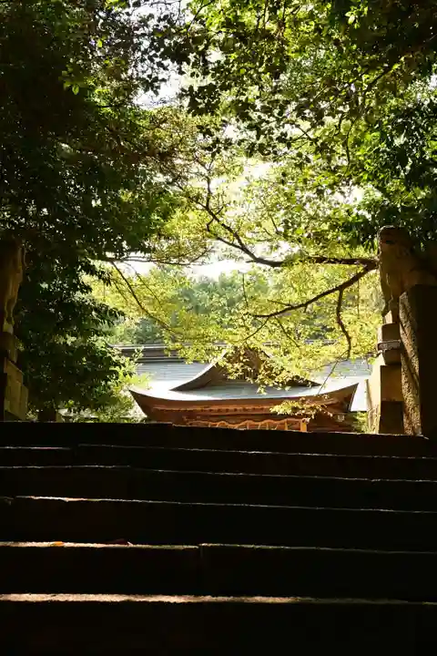 天石門別八倉比売神社(徳島県)