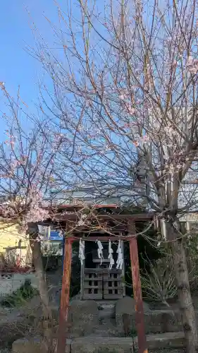 白山神社(栃木県)
