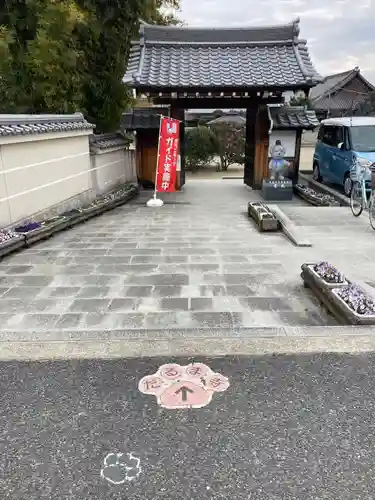 達磨寺の山門