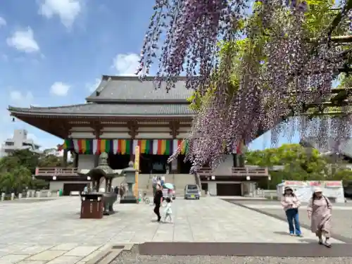 西新井大師総持寺の{uncategorized: "未分類", other: "その他", undefined: "問題あり", building: "その他建物", grave: "お墓", sacred_gate: "鳥居", guardian: "狛犬", statue: "像", buddha: "仏像", history: "歴史", nature: "自然", garden: "庭園", animal: "動物", pagoda: "塔", temizu: "手水舎", mountain_gate: "山門・神門", sanctuary: "本殿・本堂", subordinate: "末社・摂社", art: "芸術", scenery: "景色", jizo: "地蔵", ema: "絵馬", goshuin: "御朱印", omikuji: "おみくじ", items: "授与品その他", amulet: "お守り", goshuincho: "御朱印帳", eats: "食事", festival: "お祭り", votive_dance: "神楽", shichigosan: "七五三参", wedding: "結婚式", experience: "体験その他", initially: "初詣", around: "周辺", anti_infection: "感染症対策"}