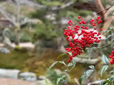 正寿院(京都府)