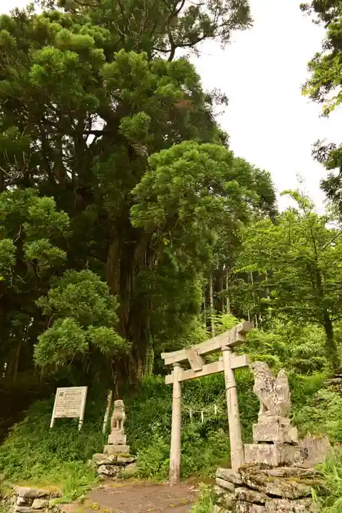 五所神社(徳島県)