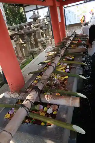 石清水八幡宮の手水舎