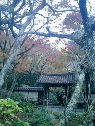 瑞泉寺の山門