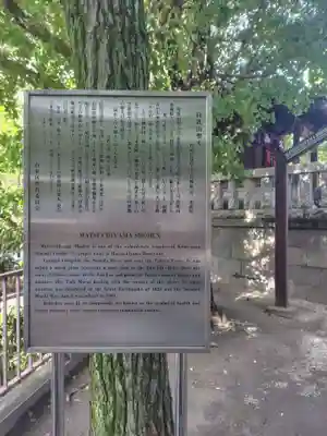 待乳山聖天（本龍院）(東京都)