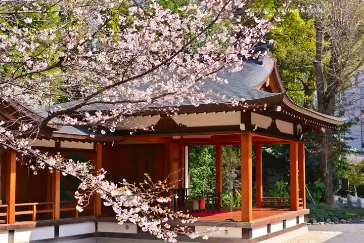 阿佐ヶ谷神明宮(東京都)