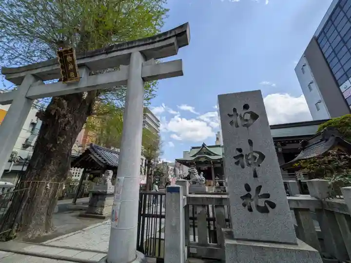 柏神社(千葉県)