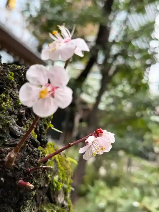愛宕神社の{uncategorized: "未分類", other: "その他", undefined: "問題あり", building: "その他建物", grave: "お墓", sacred_gate: "鳥居", guardian: "狛犬", statue: "像", buddha: "仏像", history: "歴史", nature: "自然", garden: "庭園", animal: "動物", pagoda: "塔", temizu: "手水舎", mountain_gate: "山門・神門", sanctuary: "本殿・本堂", subordinate: "末社・摂社", art: "芸術", scenery: "景色", jizo: "地蔵", ema: "絵馬", goshuin: "御朱印", omikuji: "おみくじ", items: "授与品その他", amulet: "お守り", goshuincho: "御朱印帳", eats: "食事", festival: "お祭り", votive_dance: "神楽", shichigosan: "七五三参", wedding: "結婚式", experience: "体験その他", initially: "初詣", around: "周辺", anti_infection: "感染症対策"}