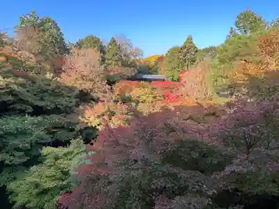 東福禅寺(東福寺)(京都府)