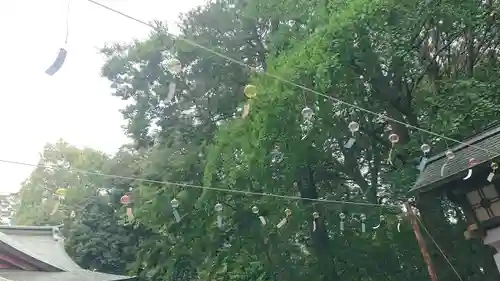 世田谷八幡宮(東京都)
