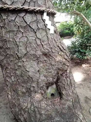 第六天神社の自然