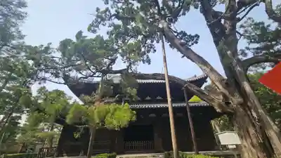 大徳寺(京都府)